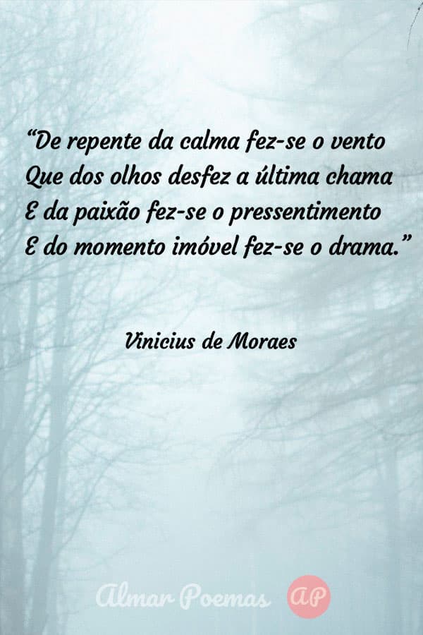 Os 10 Melhores Poemas De Vinicius De Moraes 4568