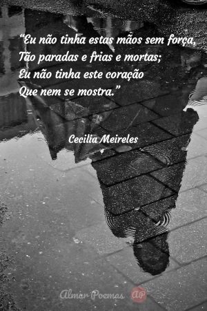 Os 12 Melhores Poemas De Cecília Meireles! 🌹📜